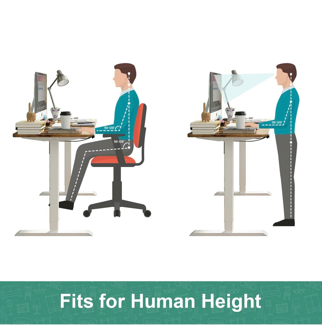 Electric Standing Desk Height Adjustable Motorised Sit Stand Desk 120cm Splice Board Home Office Workstation Walnut Table Top+ White Frame