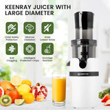 Juicer Machine for Whole Fruits and Vegetables, Cold Press Slow Juicer with Wide Mouth 80mm Feeding Chute, Reverse Function Quiet Motor Fresh Healthy Juice Extractor, EL18, Grey