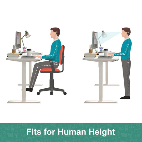 Standing Desk Electric Height Adjustable Sit Stand Desk 120 * 60cm Motorised Home Office Computer Workstation White Desktop and White Frame