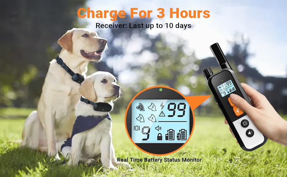 Dog Bark Collar for Small Medium Large Dogs, Dog Shock Collar with Remote for 2 Dogs, Electronic Waterproof Rechargeable Dog Collars with Beep, Vibration and Shock Modes