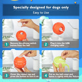 Petiepaw Interactive Dog Ball Toy, Durable Automatic Rolling Ball for Puppies/Small/Medium Dogs, USB Rechargeable