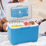 Small Cool Box for Food and Drinks - 6l Portable Cooler Box for Picnic, Lightweight Long-Lasting Ice Box with Handle, Leakproof Freezer Box, Cooler Bag Box for BBQ Camping Travel