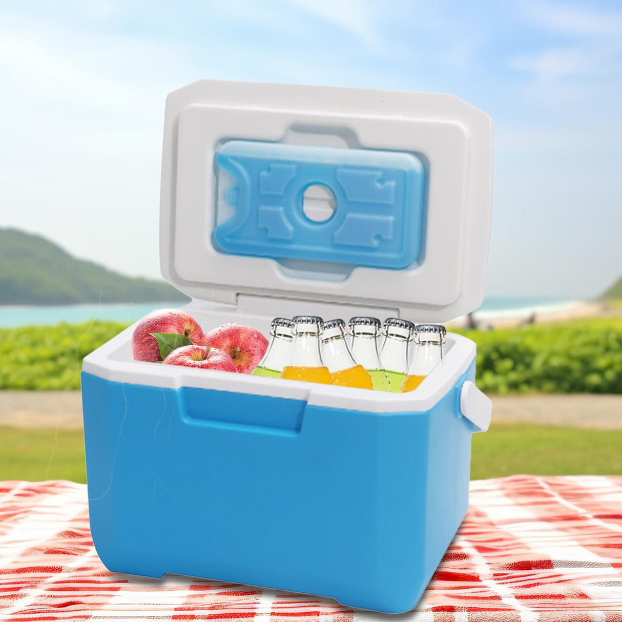 Small Cool Box for Food and Drinks - 6l Portable Cooler Box for Picnic, Lightweight Long-Lasting Ice Box with Handle, Leakproof Freezer Box, Cooler Bag Box for BBQ Camping Travel