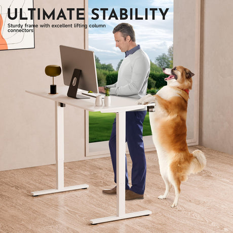 Electric Height Adjustable Standing Desk Whole-Piece Desktop Sit Stand Up Computer Desk Workstation with Memory Controller for Home, Office, Gaming 120×60cm (White Frame + White Top)