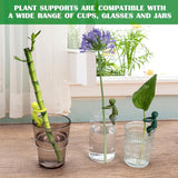 6Pcs Plant Propagation Buddy, Plant Cutting Holder for Stems, Sprouts and Shoots, Plant Propagation Friends Garden Decoration for Plant Lover