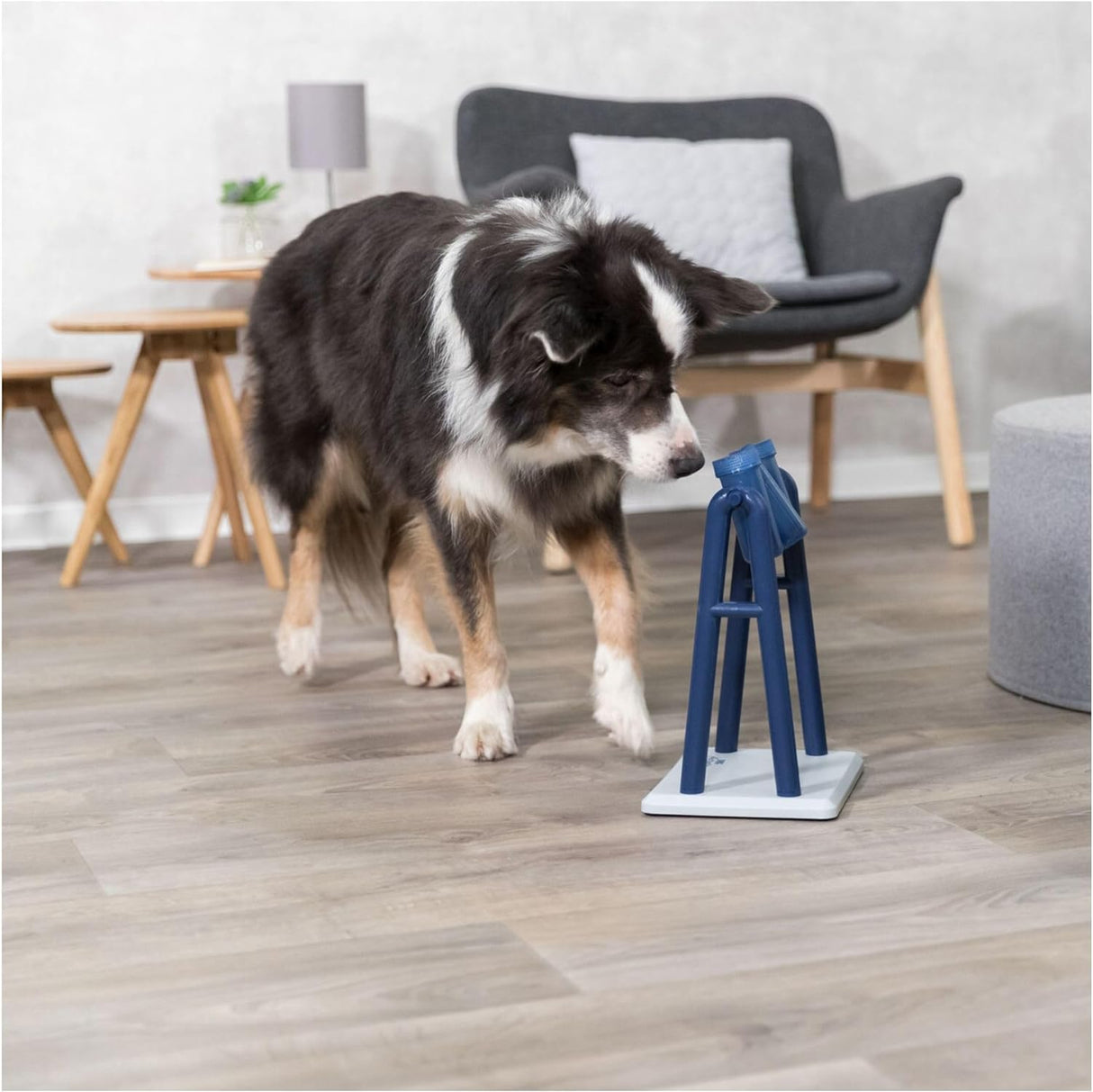 Dog Activity Turn Around Strategy Game, 22 x 33 x 18 cm Size