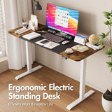 Electric Standing Desk,Ergonomic Sit Stand Desk Height Adjustable Motorised Computer Workstation 140cm Splice Desktop