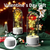 Creative 2 In 1 Rose Flowers LED Light And Bluetooth Speaker Valentine's Day Gift Rose Luminous Night Light Ornament In Glass Cover