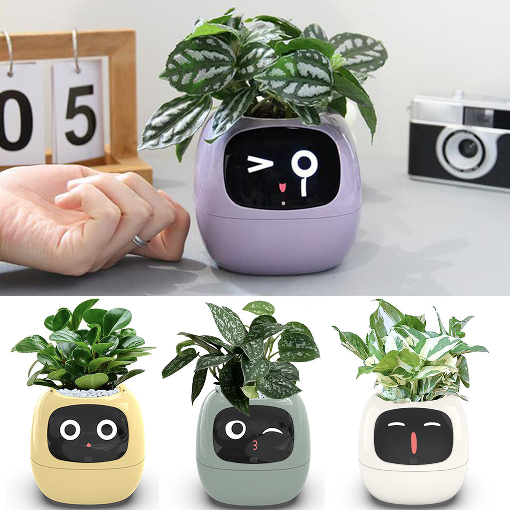 Smart Planter USB Rechargeable Flower Pot Endless Fun Over 49 Rich Expressions 7 Smart Sensors AI Chips Make Raising Plants Easy