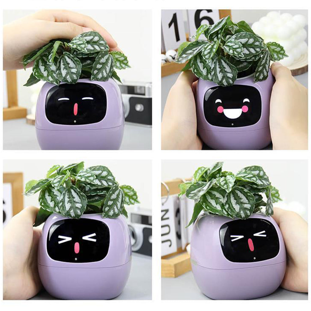 Smart Planter USB Rechargeable Flower Pot Endless Fun Over 49 Rich Expressions 7 Smart Sensors AI Chips Make Raising Plants Easy