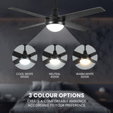 52" Ceiling Fan with Light Remote Control, Wood Ceiling Fans with 4 Blades, 6 Speed DC Motor, Indoor Outdoor Ceiling Fan for Patio, Bedroom, Living Room, Office, Black