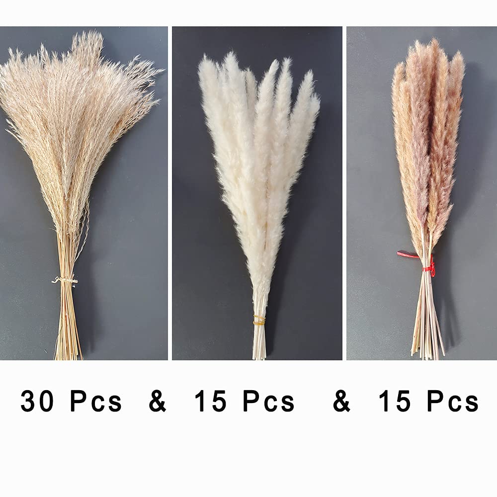 Total 60 Pcs | 15 Pcs White Pampas & 15 Pcs Brown Pampas & 30 Pcs Reed Grass/Natural Dried Pampas Grass for Flower Arrangements Home Decor