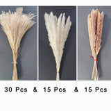 Total 60 Pcs | 15 Pcs White Pampas & 15 Pcs Brown Pampas & 30 Pcs Reed Grass/Natural Dried Pampas Grass for Flower Arrangements Home Decor