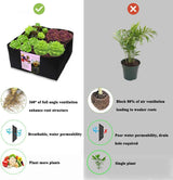 Fabric Raised Garden Bed 128 Gallon 8 Grids Plant Grow Bags Rectangle Planting Container Breathable Planter Raised Beds Outdoor Indoor Gardening