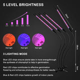 Plant Grow Light, LED Full Spectrum Led Plant Growing Light for Indoor Plants, 3 Light Modes & 4 Heads Grow Lamp with Timer 360°Adjustable Long Neck for Seedlings and Succulents