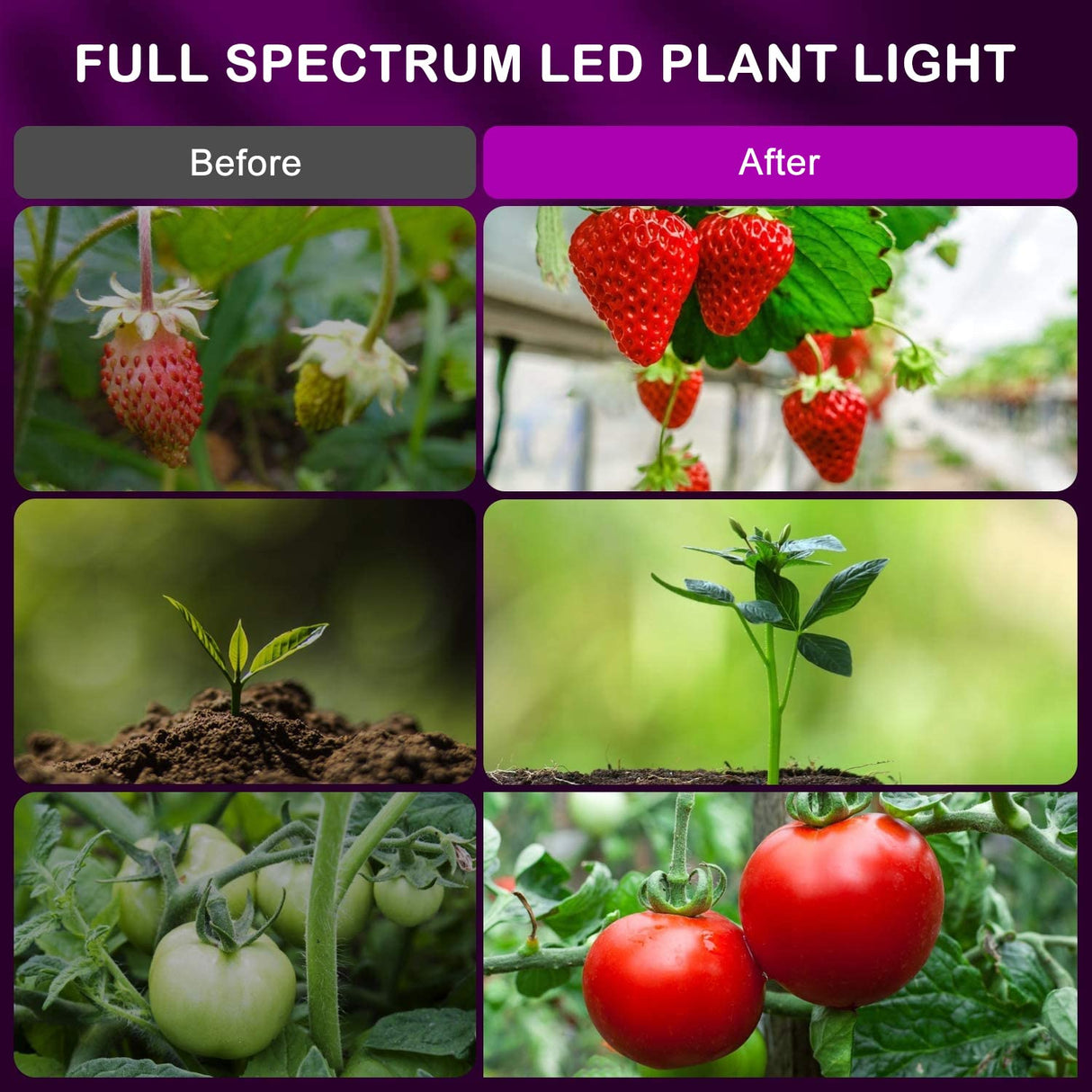 Plant Grow Light, LED Full Spectrum Led Plant Growing Light for Indoor Plants, 3 Light Modes & 4 Heads Grow Lamp with Timer 360°Adjustable Long Neck for Seedlings and Succulents