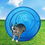 Pet Scene 5.5M Dog Agility Training Pet Dog Exercise Tunnel Chute Protable Dog Training Tunnel with Carry Bag