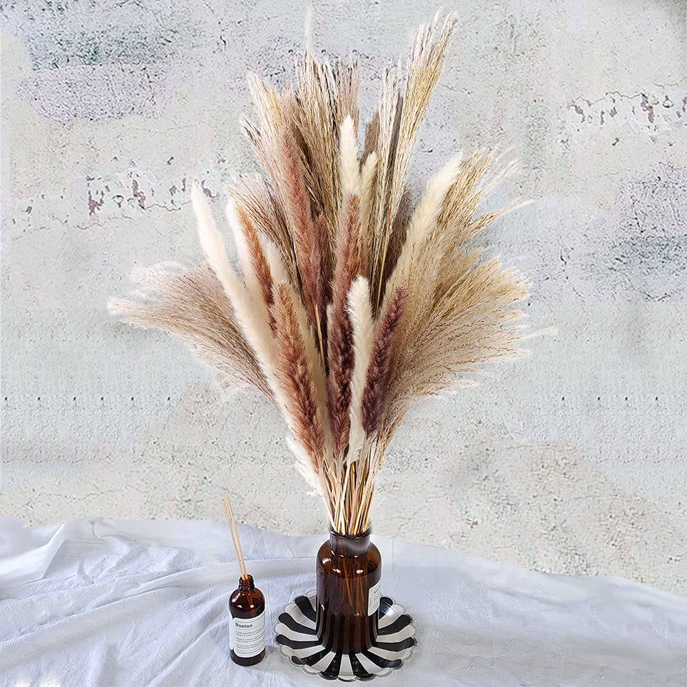 Total 60 Pcs | 15 Pcs White Pampas & 15 Pcs Brown Pampas & 30 Pcs Reed Grass/Natural Dried Pampas Grass for Flower Arrangements Home Decor