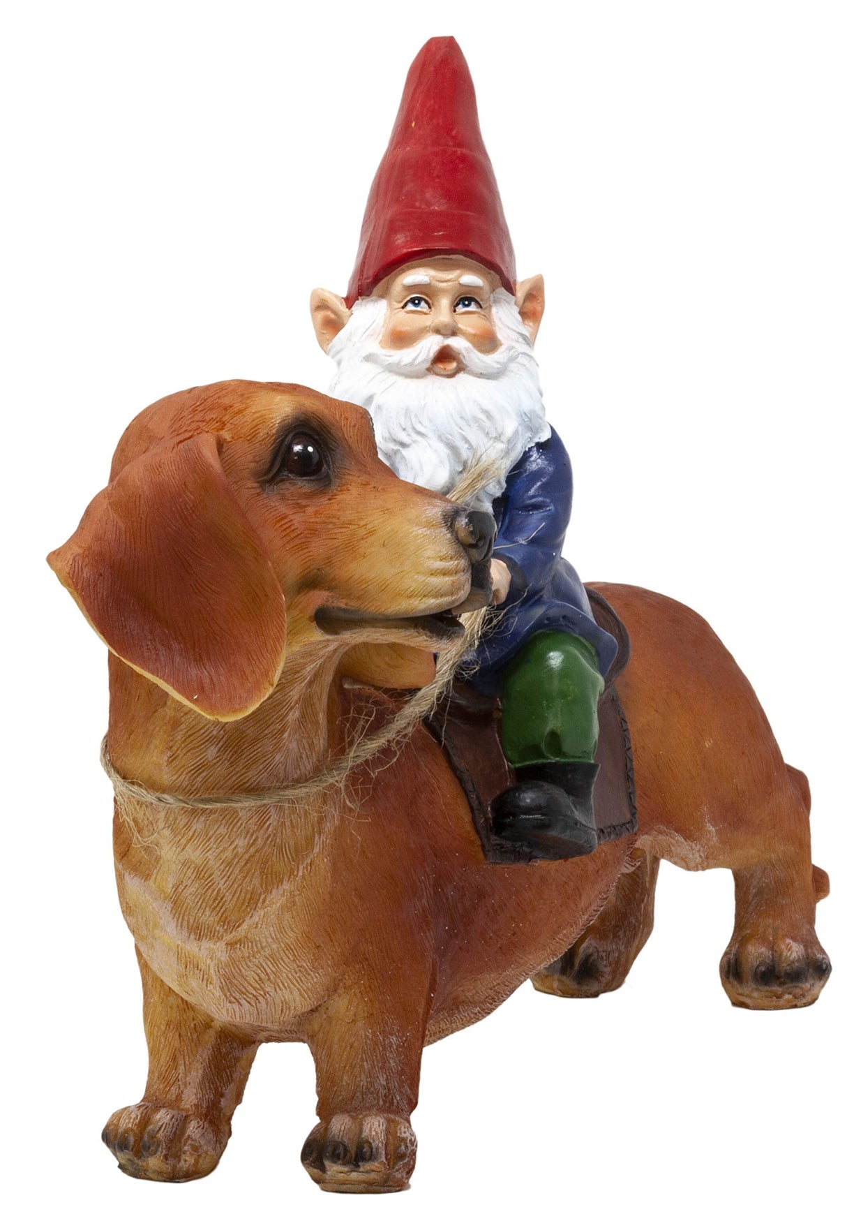 Funny Guy Mugs Gnome and a Dachshund Garden Gnome Statue- Indoor/Outdoor Garden Gnome Sculpture for Patio, Yard or Lawn