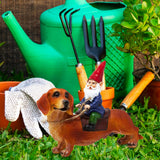 Funny Guy Mugs Gnome and a Dachshund Garden Gnome Statue- Indoor/Outdoor Garden Gnome Sculpture for Patio, Yard or Lawn