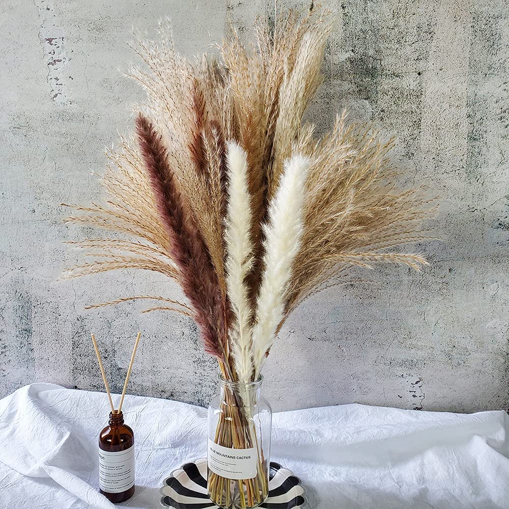 Total 60 Pcs | 15 Pcs White Pampas & 15 Pcs Brown Pampas & 30 Pcs Reed Grass/Natural Dried Pampas Grass for Flower Arrangements Home Decor