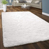 Large Floor Rugs Fluffy Rug Area Carpet Shaggy Soft Pads Living Room