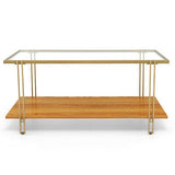 Coffee Table Rectangle Glass Top Wood Bottom Storage Shelf Gold Steel