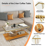 Coffee Table Rectangle Glass Top Wood Bottom Storage Shelf Gold Steel