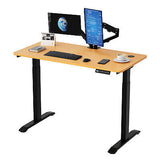 Dual Motor Electric Standing Desk Height Adjustable Sit Stand Desk Riser Office