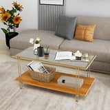 Coffee Table Rectangle Glass Top Wood Bottom Storage Shelf Gold Steel