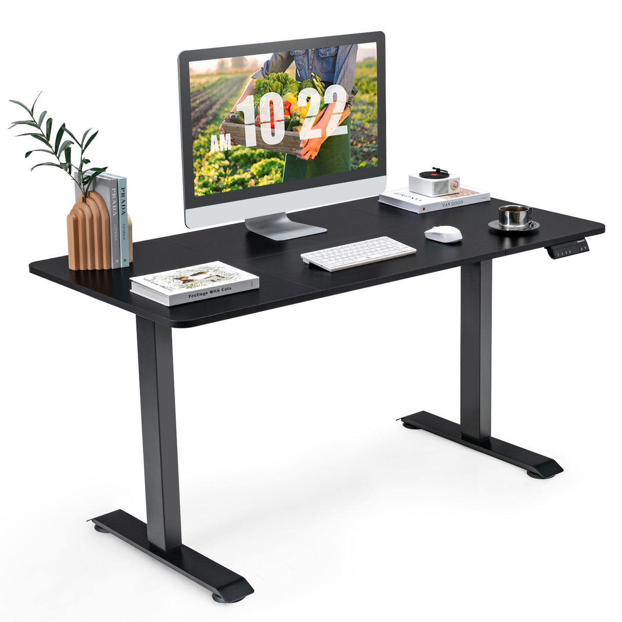 Standing Desk Electric Motorised Computer Desk Height Adjustable Sit Stand Table