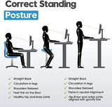 Dual Motor Electric Standing Desk Height Adjustable Sit Stand Desk Riser Office