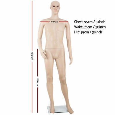 Male Mannequin Full Body 185cm Head Clothes Display Dressmaking Torso