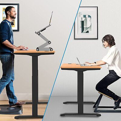 Dual Motor Electric Standing Desk Height Adjustable Sit Stand Desk Riser Office