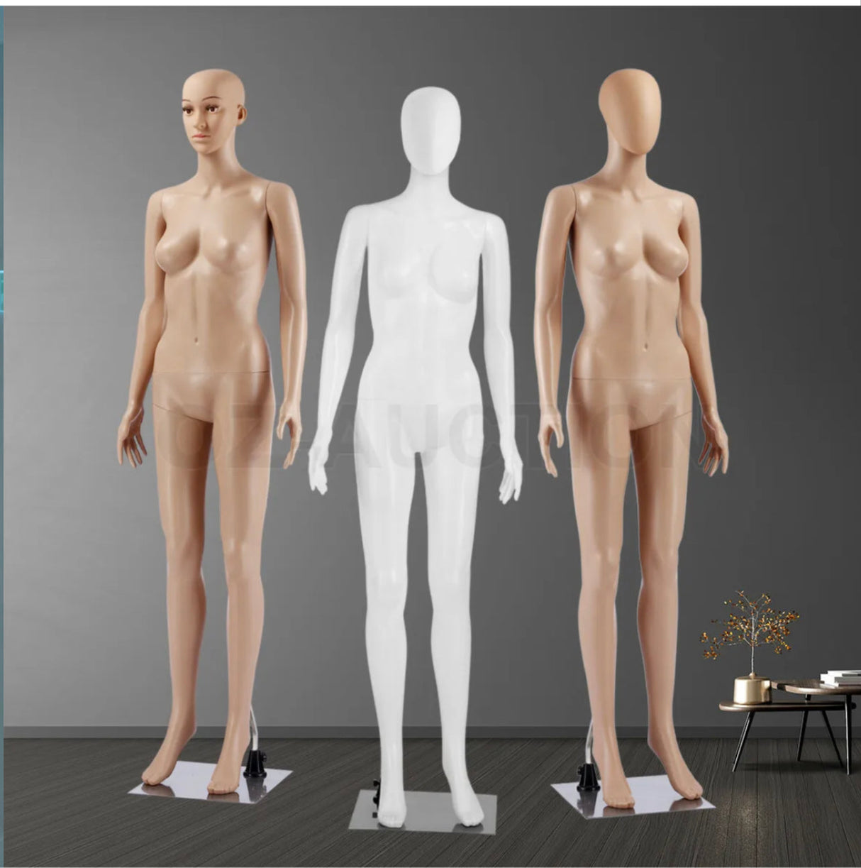 Female Mannequin Full Body Model Manikin Torso Display Stand Dress Form 175CM