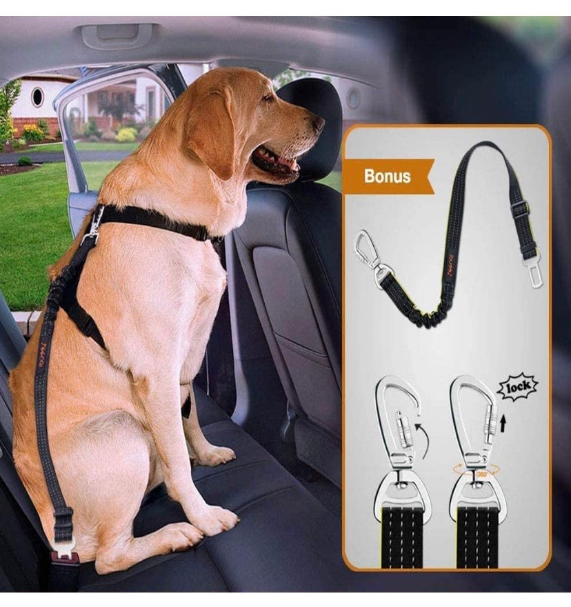 Dog Seat Cover for Car Seat Cover for Pets Waterproof Pet Seat Cover with Mesh Visual Window & Seat Belt Opening & Storage Pockets, Wear-Proof Dog Back Seat Hammock for Cars, Trucks and SUV - 147 x 137 cm (Black)