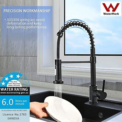 Kitchen Sink Tap 360°Swivel Spout Pull Out Spray Mixer Tap Black Faucet