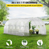 Walk-in Tunnel Greenhouse Galvanized Frame & Waterproof 20x10x7ft